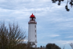 JLF18298