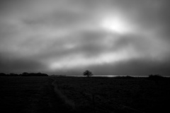 GR001528_1