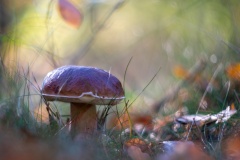 JLF_5551_1